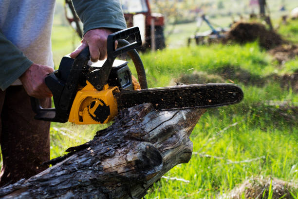 Lawn Pest Prevention in Webster, TX